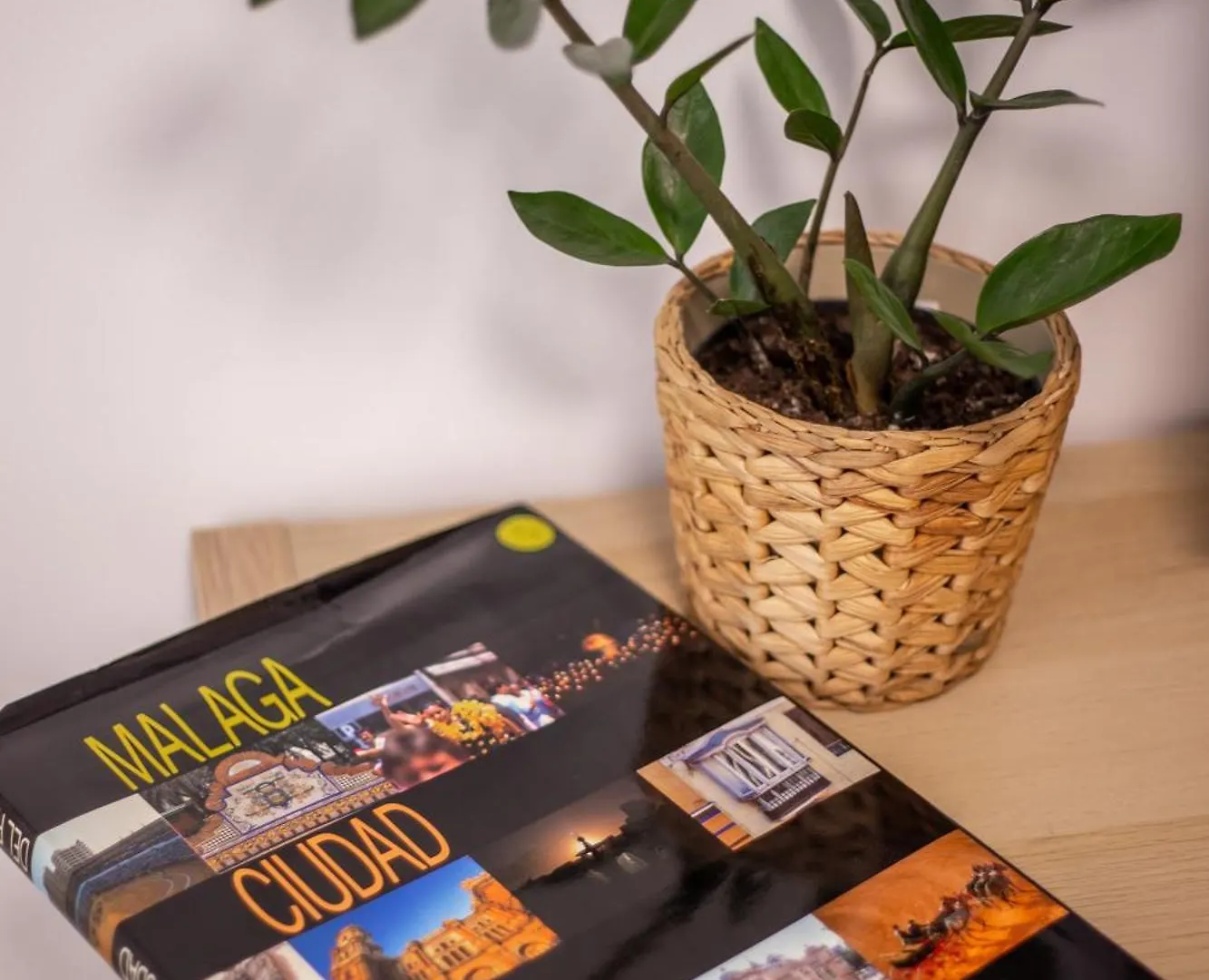 Apartamiento Con Naranjas Málaga Lejlighed